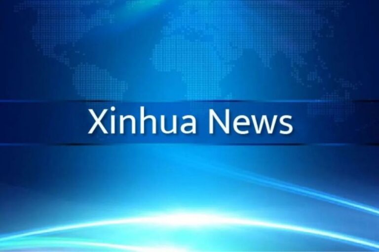 Developing world can learn from China on development: Sudanese ex-FM